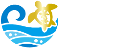 青之洞窟屋